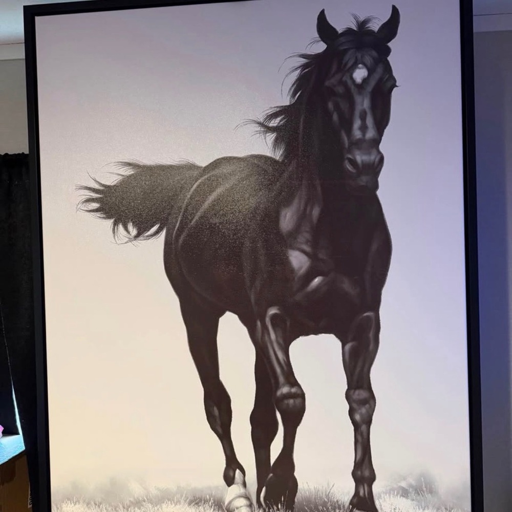 Black Horse Canvas Art Print - Galloping Stallion
